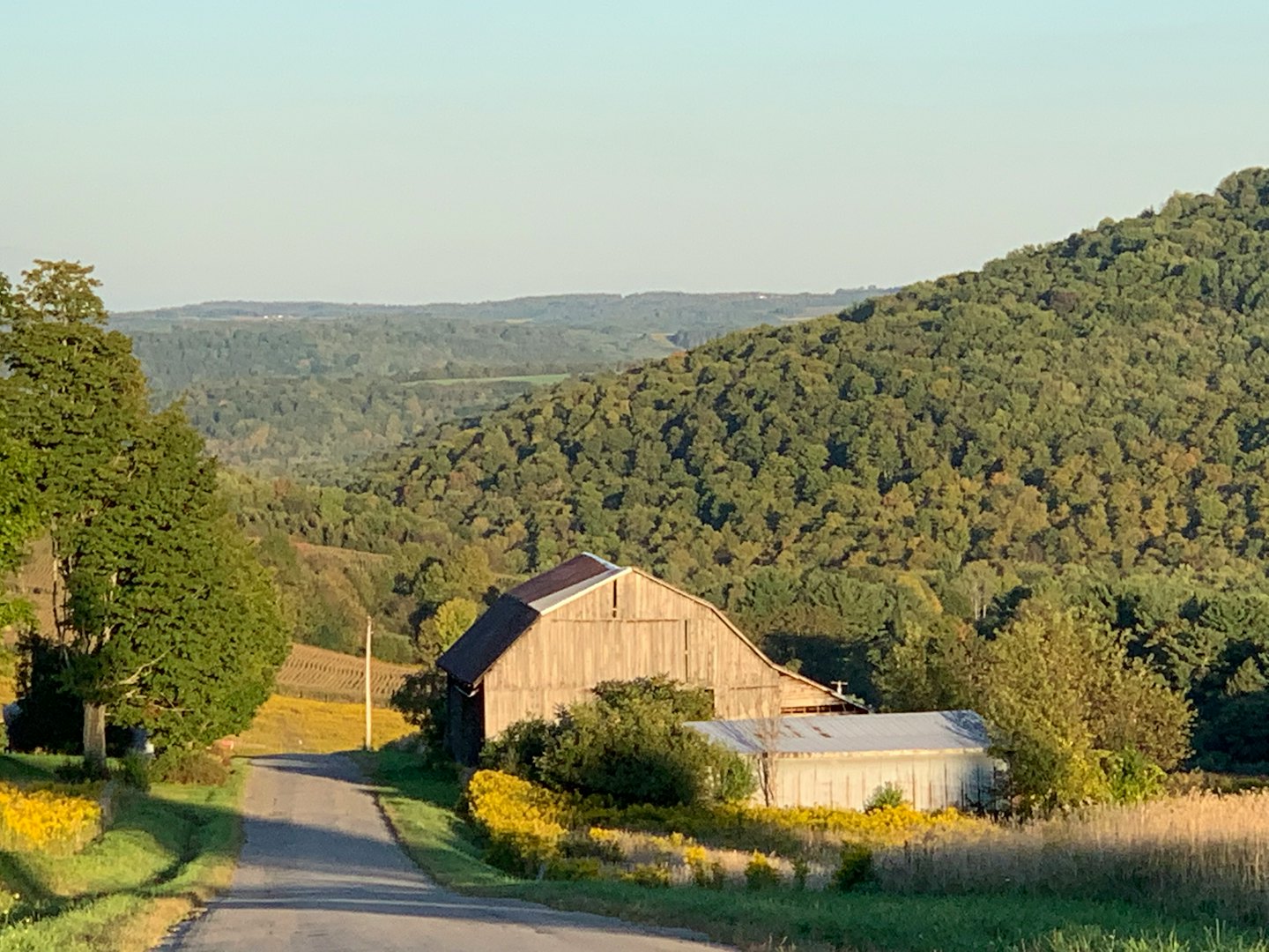 Une route sinueuse traverse une vallée rurale avec des granges.